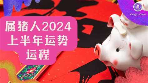 2024属猪运势|属猪人2024年全年运势运程详解